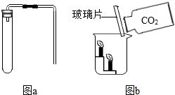基礎(chǔ)化學(xué)原料制造 二氧化碳的制取與性質(zhì)實(shí)驗(yàn)設(shè)計(jì)與實(shí)踐